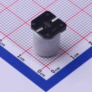 PCV1V181MCL2GS商品缩略图