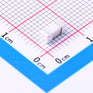 24T 5A250V商品缩略图