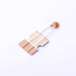 DCC101J20SL F6FJ5A0商品缩略图