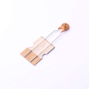 DCM102K22X7RL6FJ5B8商品缩略图