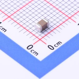 FP31X335K160EPG商品缩略图