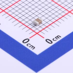 FM21X822K101PXG商品缩略图