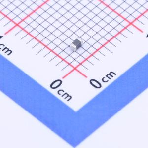 FBH1608-300Y商品缩略图