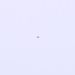 RC0100FR-070RL商品缩略图