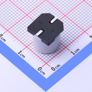 VH2A470MG105000CE0商品缩略图