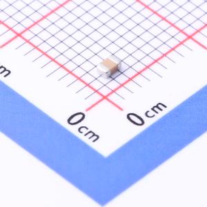 FM21X101K501PXG商品缩略图