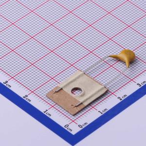 CT81-M5Y5P4E221KTE商品缩略图