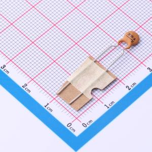 DCC391J22SL F6FJ5A0商品缩略图