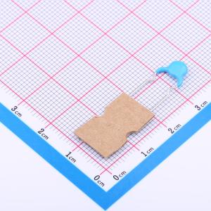 DCH101K22Y5PN6FJ7A0商品缩略图