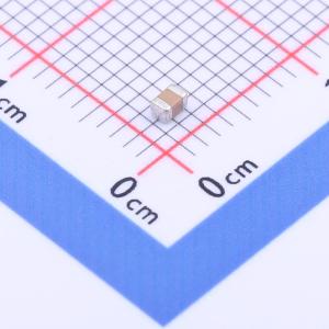 FP21X102K500ECG商品缩略图