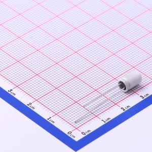 SPT1AM101D08OR商品缩略图
