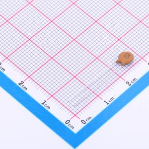 CC1H223ZA1ED3F4D1100商品缩略图