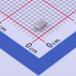 C1206N221K102T商品缩略图