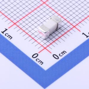 24F 1A250V商品缩略图