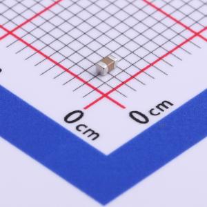 FS18X105K160PBG商品缩略图