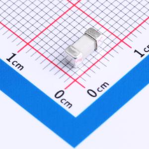 24T 4A250V商品缩略图