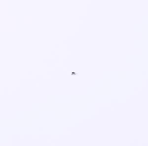 0201WMF100KTEE商品缩略图