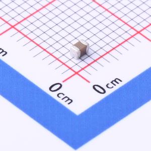 FS21F105Z250ECG商品缩略图