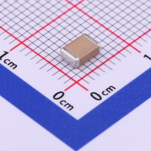 FV43X102K202EEG商品缩略图