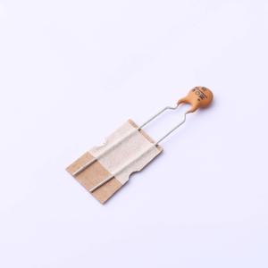 DCM102K22Y5PL6FJ5A0商品缩略图