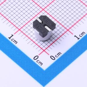 RVT100UF10V67RV0160商品缩略图