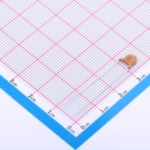 CC1H271KC1EDB44B1100商品缩略图