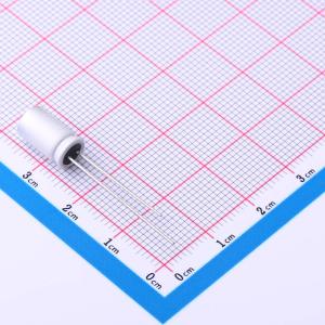 CH6R3M821LO6.3*11L-1A4T商品缩略图