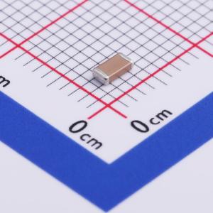 1206B821K251NT商品缩略图