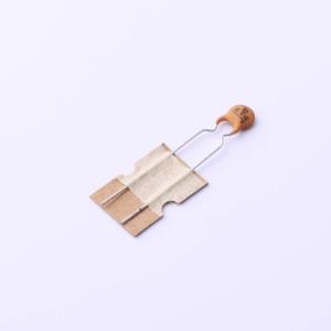 DCT222K22Y5PF6FJ5A0商品缩略图