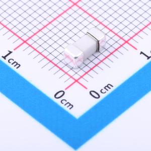 24T 2A250V商品缩略图