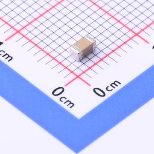 FS31B106K250EPG商品缩略图