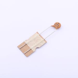 DCH101K22X7R16FL5A0商品缩略图