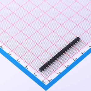 PZ254-1-19-Z-8.5商品缩略图