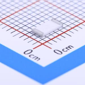 CR2010J300RE04Z商品缩略图