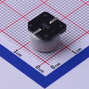 UCD1H101MCL6GS商品缩略图