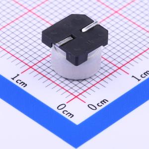 VS1A221MF065000CE0商品缩略图