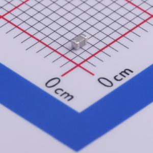 0603N101F250CT商品缩略图