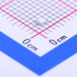 RN732ATTD22R0B25商品缩略图