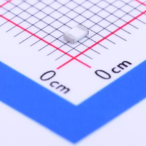 RN732ATTD1101B25商品缩略图