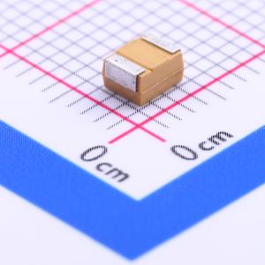 CA45-B010K336T商品缩略图