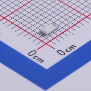 RC-06L6R8JT商品缩略图