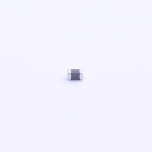 SBM1608G300JSP商品缩略图