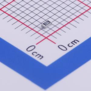 ERJP03J100V商品缩略图