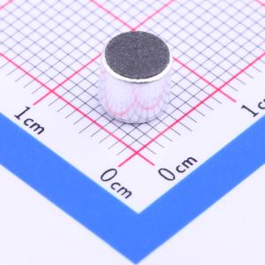 6.0*5.3MM 双指向/焊点 带电容