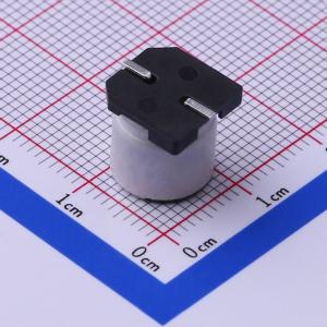 CS2A470M-CRG10商品缩略图