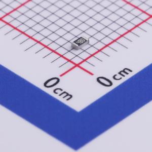 RC0603FR-07309KL商品缩略图