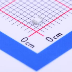 RN732ATTD91R0B25商品缩略图