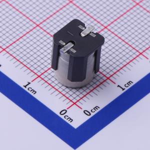 EEHZC1V101V商品缩略图