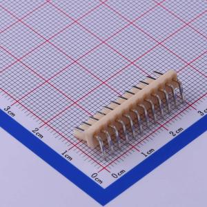 A2503WR-12P商品缩略图