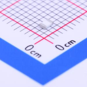 RN732ATTD1200B25商品缩略图